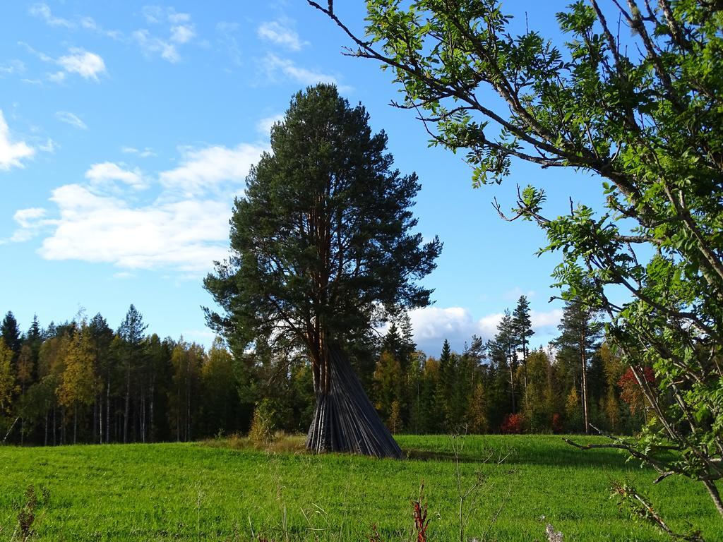 Viking Trails Outdoor & Accommodations Rattvik Bagian luar foto
